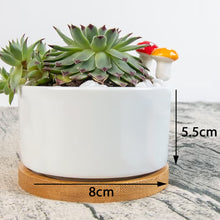Load image into Gallery viewer, MOM - You are my hero Single Side Printing Flowerpot
